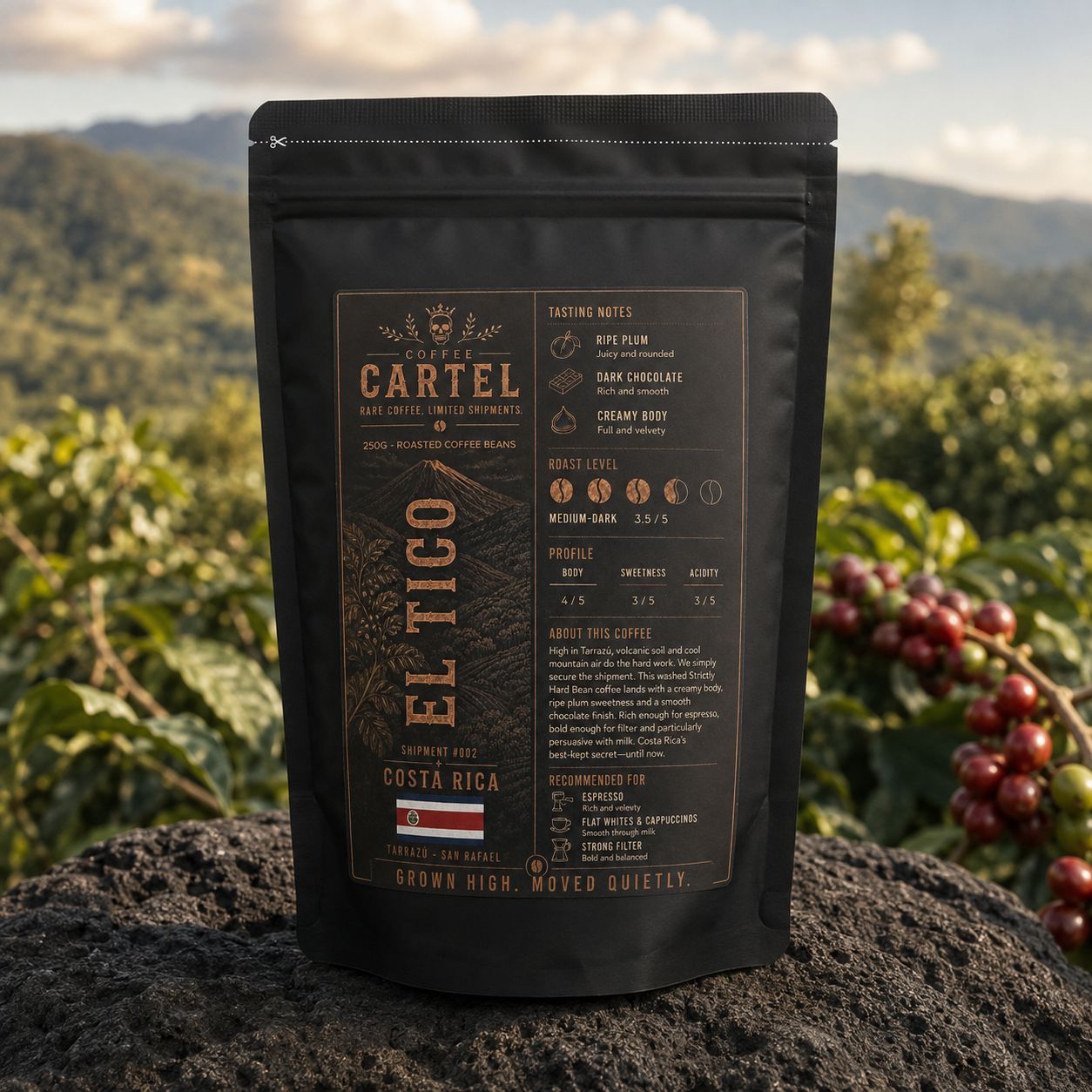 El Tico coffee bag standing on volcanic rock with Costa Rican mountains and coffee cherries behind